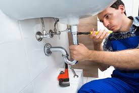 Best Trenchless Pipe Repair  in Lapeer, MI